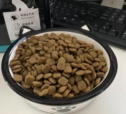 Lab-Grown Meat Goes on Sale in UK Dog Food