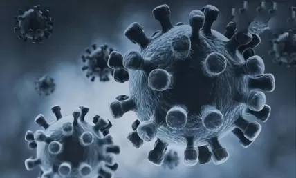 WHO Reports Eight Fatalities in New Suspected Marburg Outbreak in Tanzania.