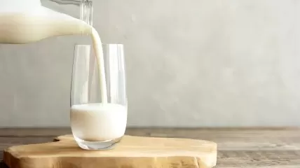 Bird Flu Survived Pasteurization of Heavily Infected Milk